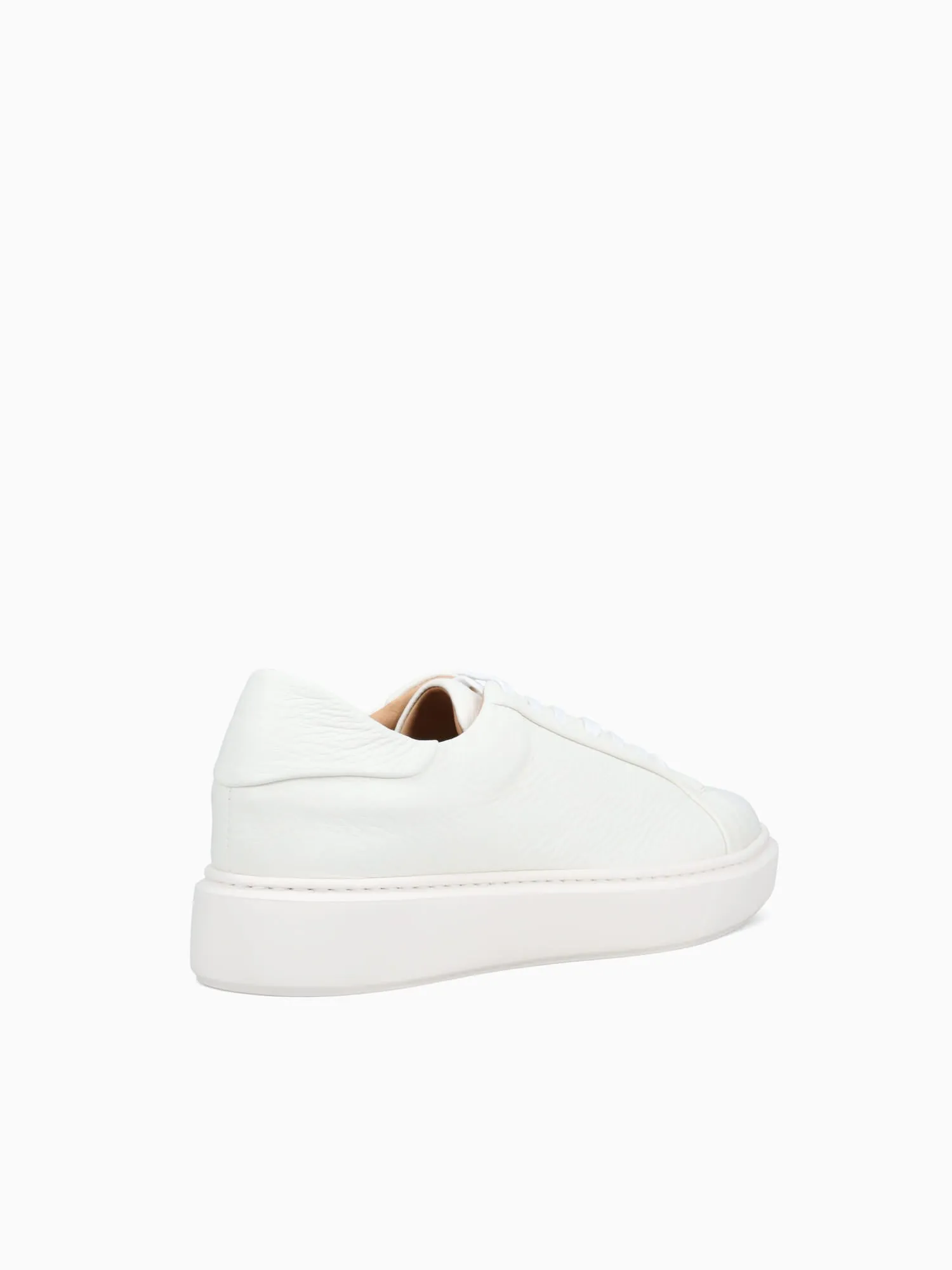 Barolo Sneaker Milk Dear Cervo