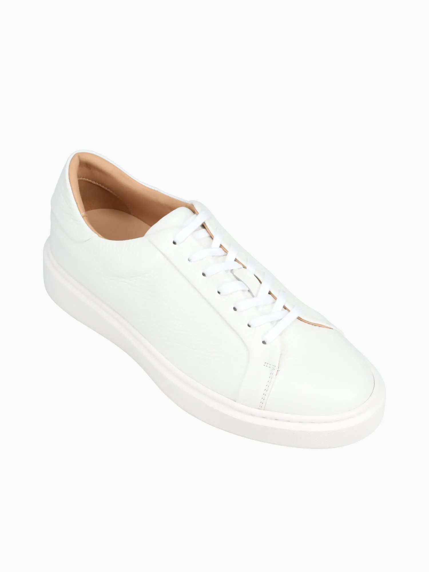 Barolo Sneaker Milk Dear Cervo