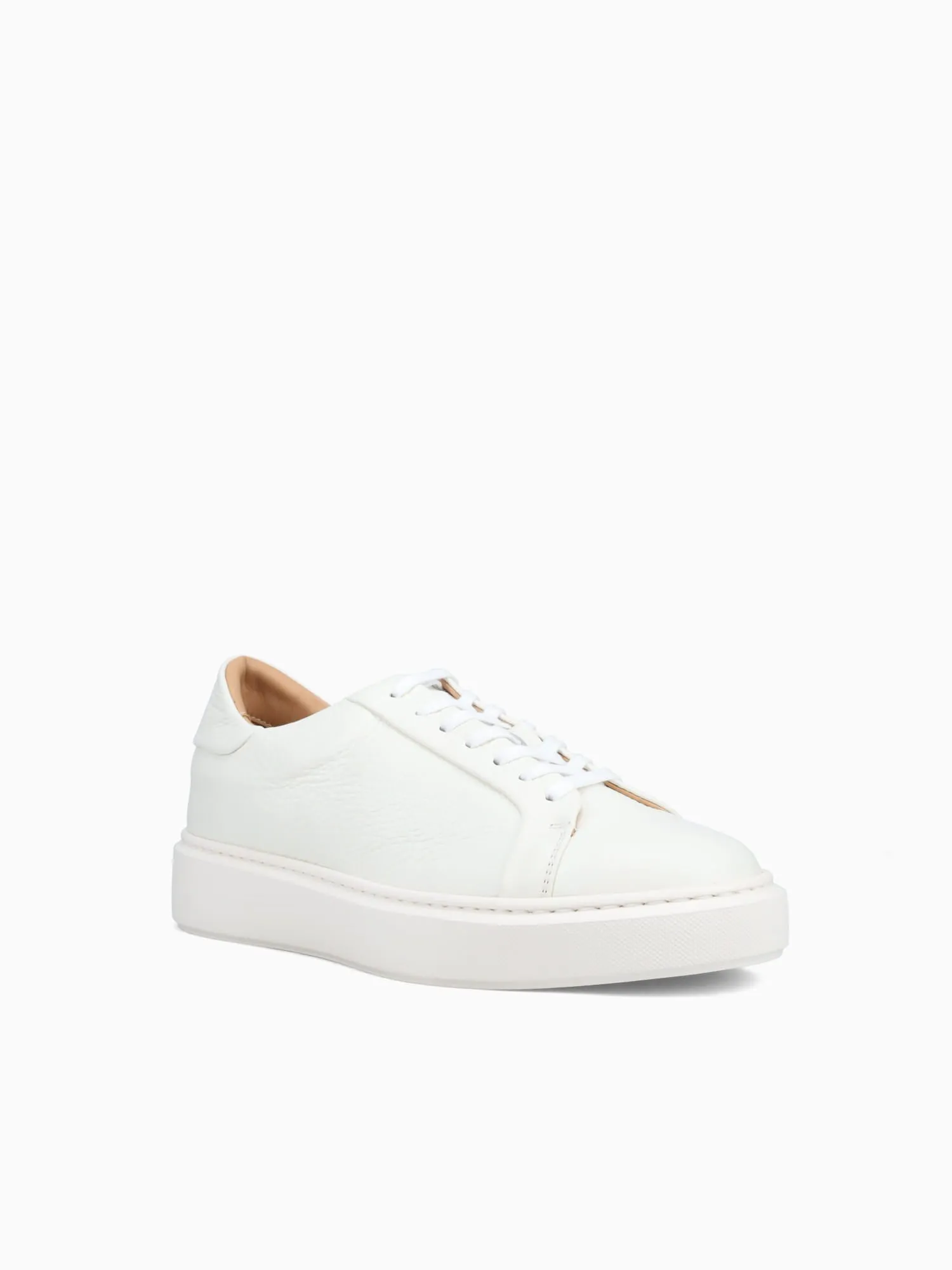 Barolo Sneaker Milk Dear Cervo