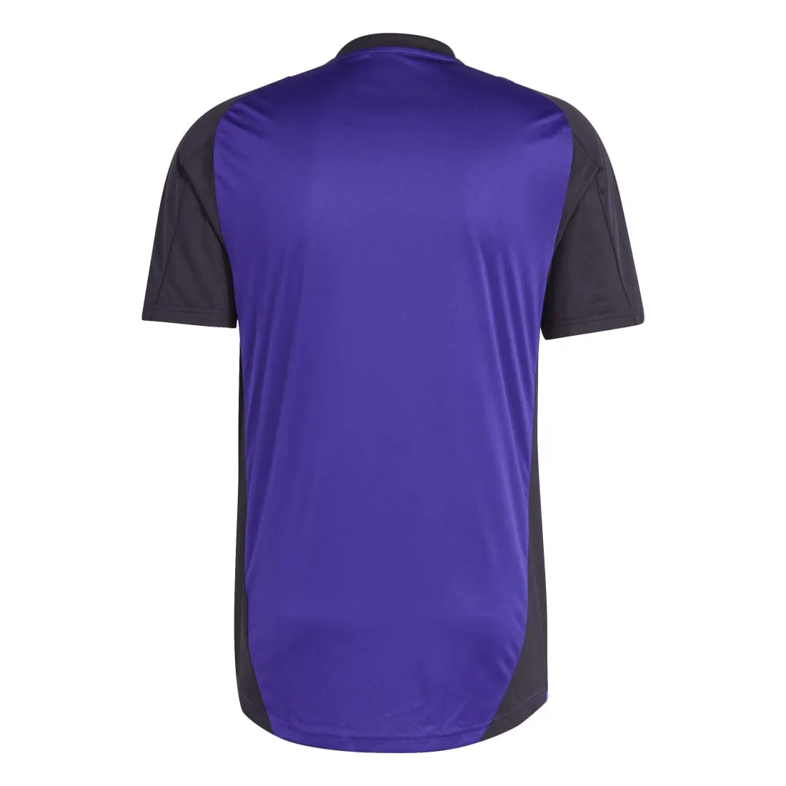 Germany 2024 Adidas Tiro Men's Training Jersey Purple