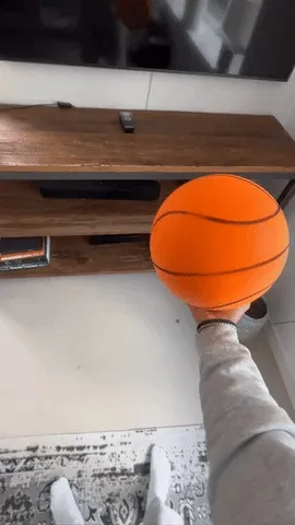 THE HANDLESHH SILENT BASKETBALL