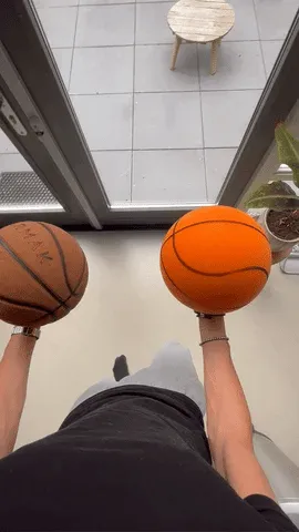 THE HANDLESHH SILENT BASKETBALL